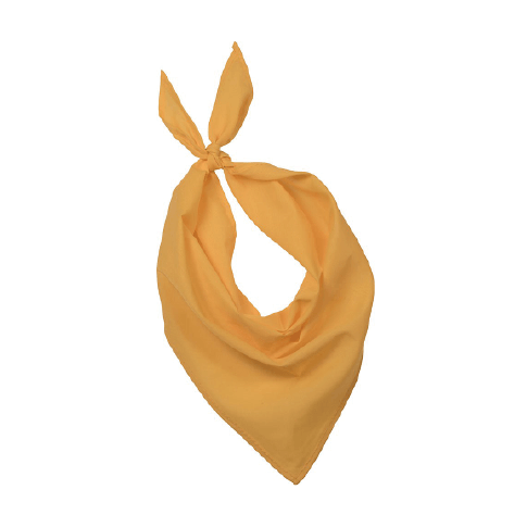 Farbiges Bandana/Halstuch für Veranstaltungen