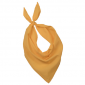 Farbiges Bandana/Halstuch für Veranstaltungen