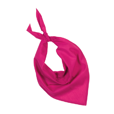 Farbiges Bandana/Halstuch für Veranstaltungen