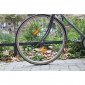 4er-Set Fahrrad-Reflektoren: vorne, hinten, Speichen