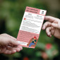 Aufklärungsflyer – Sicherheitsgurt